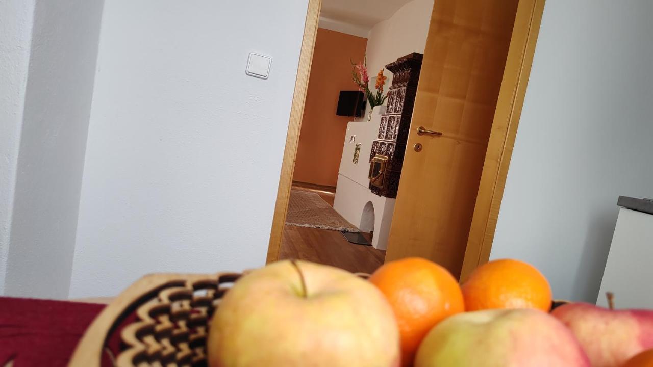 פיסטריץ אן דר גאיל Ferienwohnung Gaensebluemchen מראה חיצוני תמונה